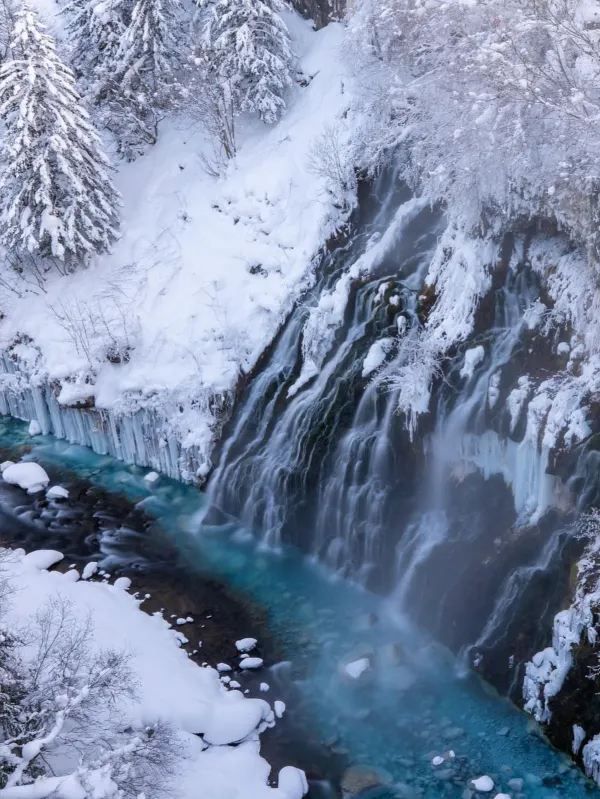 提前預習下雪的北海道❄️小眾景點推薦