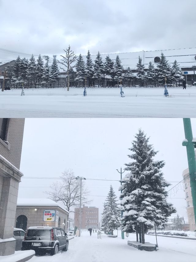 小樽初印象 在北海道童話世界閒逛