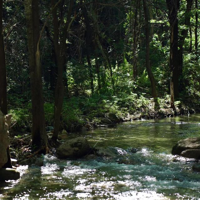 🥁🌳 打鼓嶂～奏響自然旋律🌄🥁🏞️