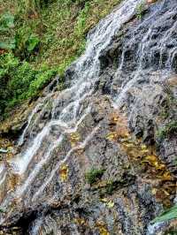 Doi Pui Waterfall: A Symphony in Nature's Heartbeat