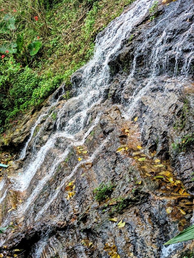 Doi Pui Waterfall: A Symphony in Nature's Heartbeat