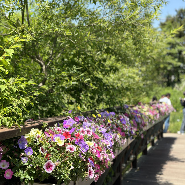 서울에서 1시간반! 1000여 종류의 다양한 식물이 있는 곳💚