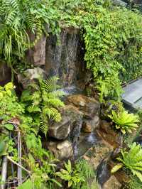 🇸🇬Do you know there’s a butterfly garden in Changi Airport?