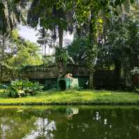 Relaxing Walk thru Animal Jungle at Zoo Negara