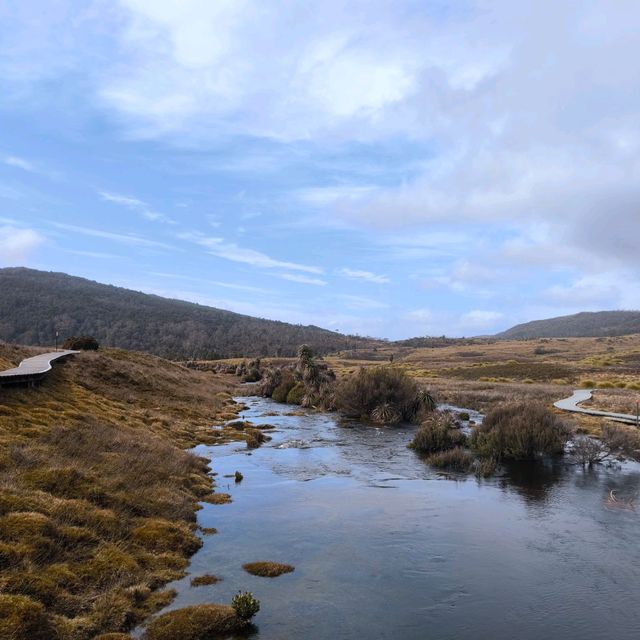 Tasmania Cradle mountain 