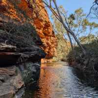 Unveil the Wonders of Kings Canyon - Watarrka National Park