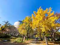 A Stroll Through History at Osaka Castle Park