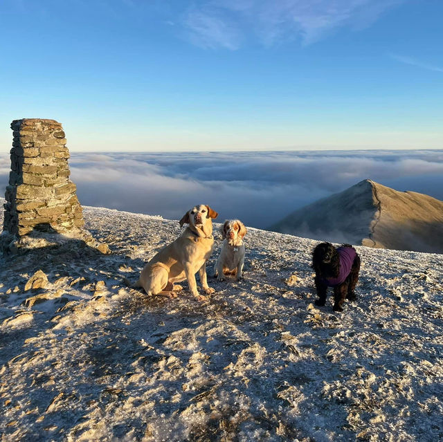 Majestic Morning Hike on Helvellyn