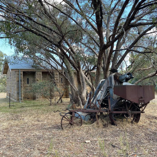 Nature’s Hidden Gem: Exploring Heathcote-Graytown