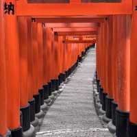 Day to Night at Fushimi Inari