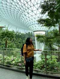 Jewel Changi: Where Travel Meets Magic