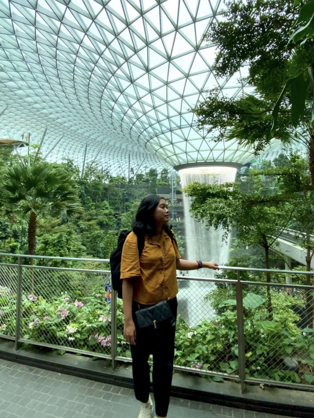 Jewel Changi: Where Travel Meets Magic