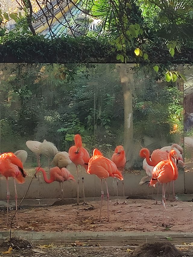 上海動物園從沒讓我失望過