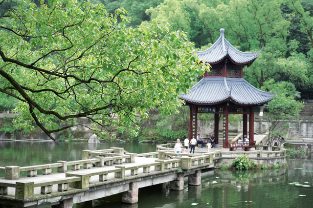 浪漫泸州｜藏在忠山公園的松弛感