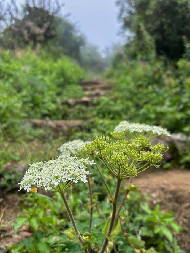 昆明十峰徒步——宜良老爷山。