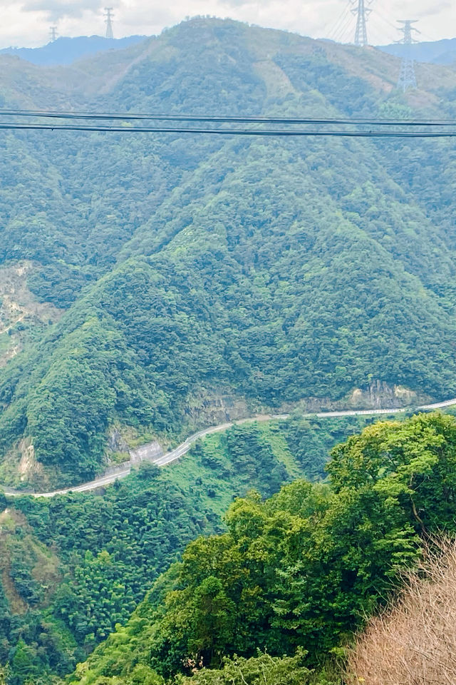 走！去四明山尋找野趣。