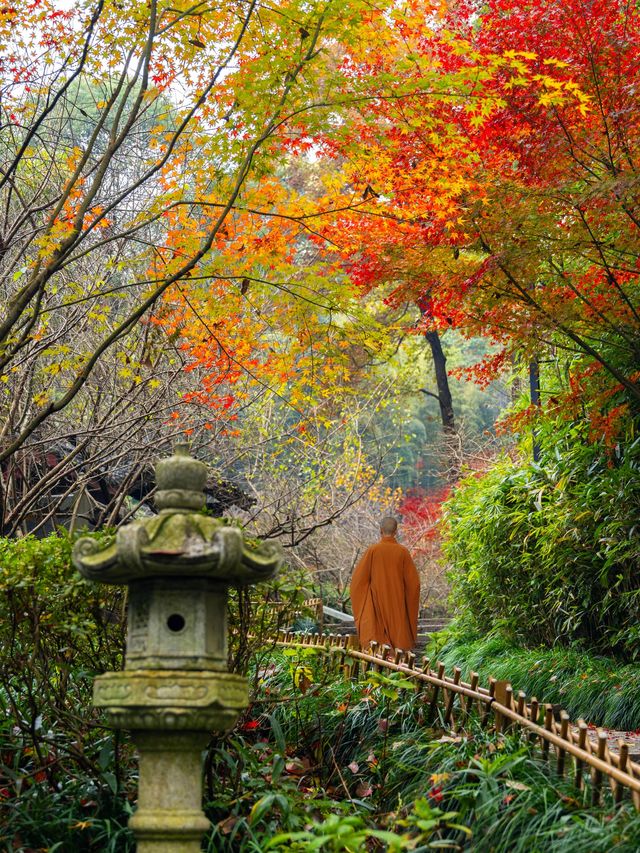 比起靈隱寺，我更愛杭州這座楓葉寺廟！