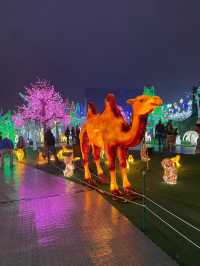 Toronto Illumi Light Show Offers 50% Off Discount