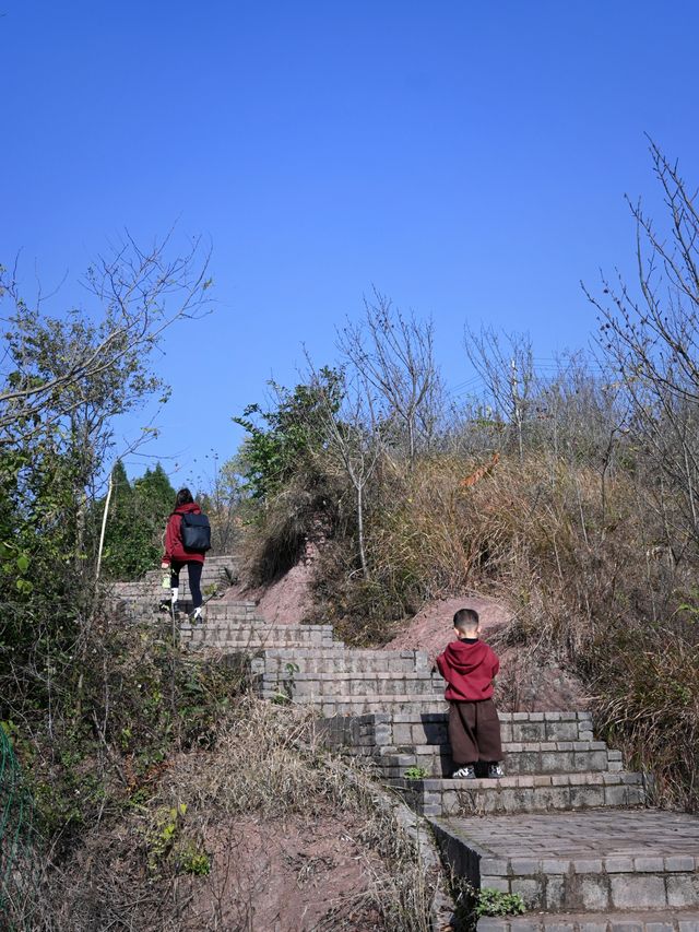 成都1小時！公交直達！可徒步可採摘