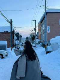 北海道旅居三年後的冬季出遊攻略🌨️