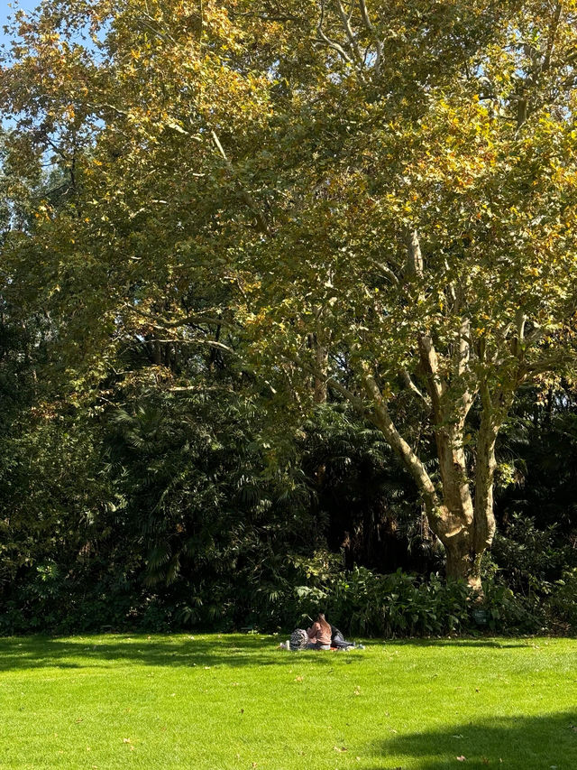 我宣布！這就是上海最寧靜的公園