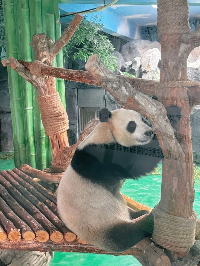 蘭州野生動物園帶你探秘動物樂