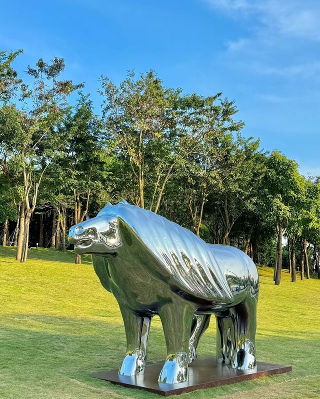 真的愛慘了深圳這個海濱公園