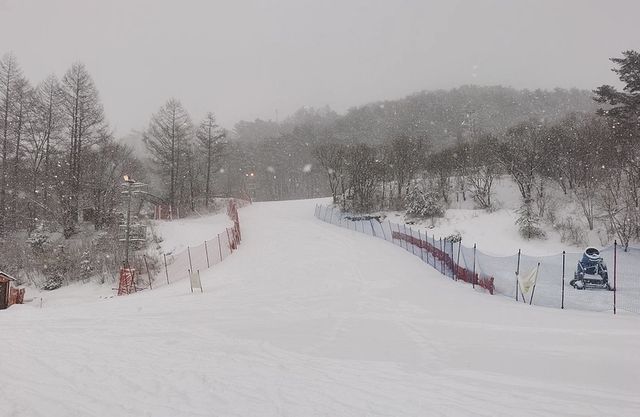 韓國平昌阿爾卑西亞洲際初滑雪