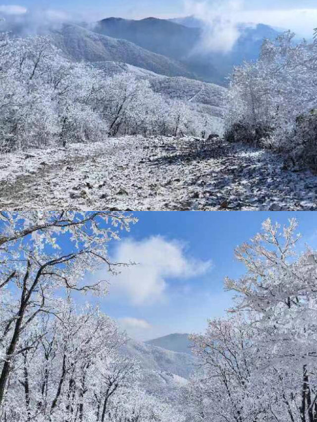 龍王山會懲罰每個不做攻略就出發的人！