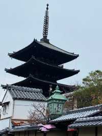 Priceless Stroll in the street of Japan