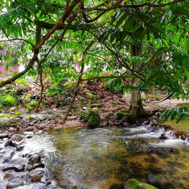 🇲🇾 Reconnect with Nature at Sungai Congkak Recreational Forest