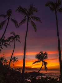 Sending a Postcard from Oahu: A Snapshot of Paradise