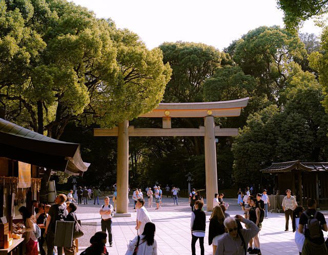 ⛩ 明治神宮 | 旅遊時刻🌳