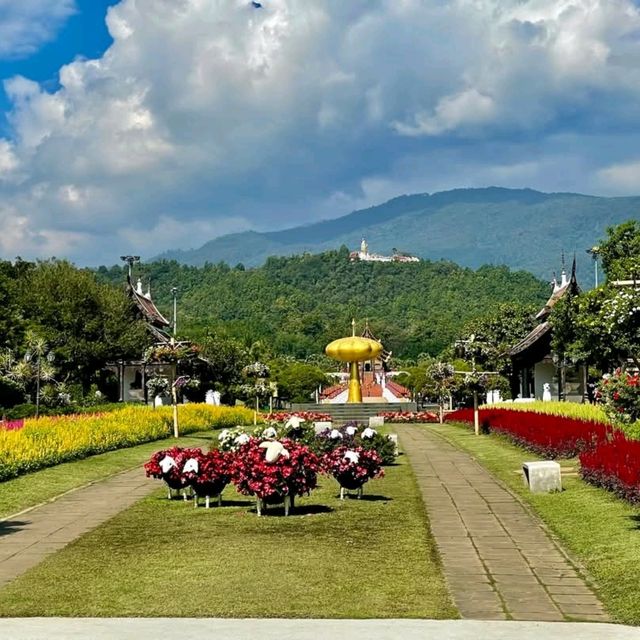 อุทยานหลวงราชพฤกษ์  เชียงใหม่