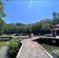 仙湖植物園（Xianhu Botanical Garden）：自然與生態的美麗結合