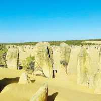 A Magical New Year at The Pinnacles: Western Australia’s Natural Wonder 🇦🇺