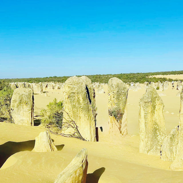 A Magical New Year at The Pinnacles: Western Australia’s Natural Wonder 🇦🇺