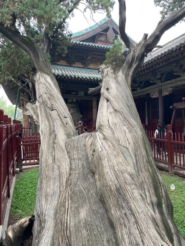 原來你是這樣的太原：之晉祠博物館！。