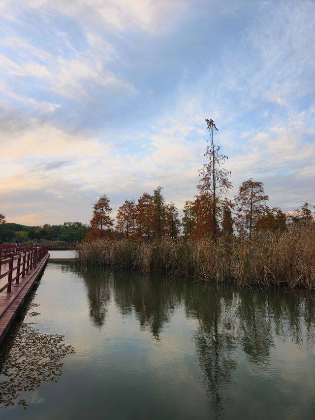 0元打卡蘇州小眾絕美公園秋景。