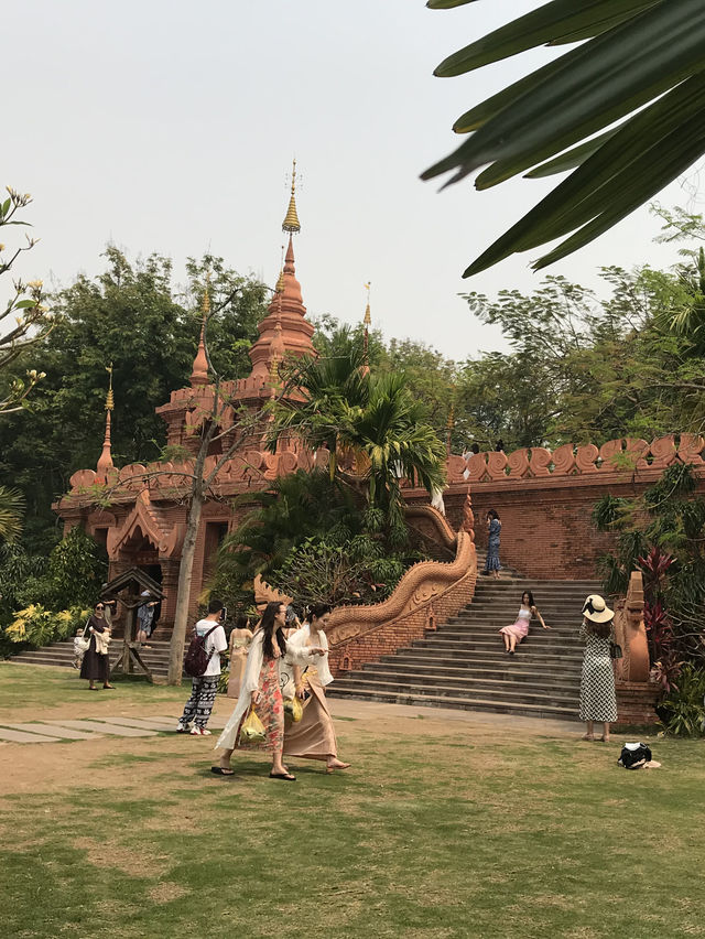 去熱帶過冬天西雙版納旅遊冷門建議