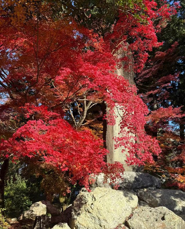 京都