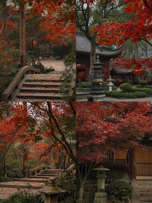 杭州寺廟賞秋天花板清晨的永福寺封神了