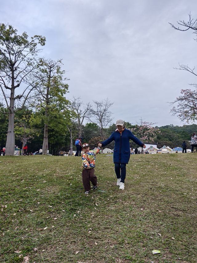 深圳蓮花山公園親子遊體驗之旅