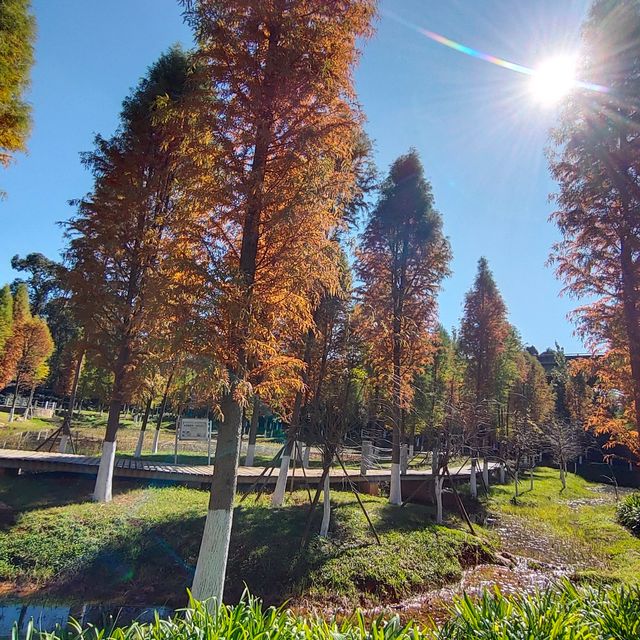 經開區廉政公園