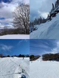 Sapporoteine Ski Area，冰雪世界的極致狂歡