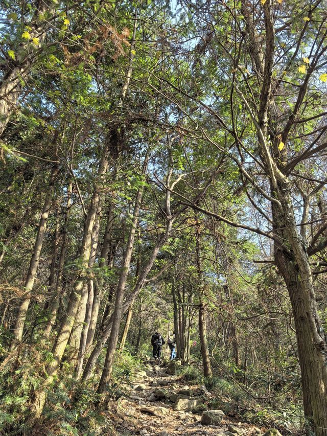 徒步穿越寧波九峰山丨九峰之巅眺望東海