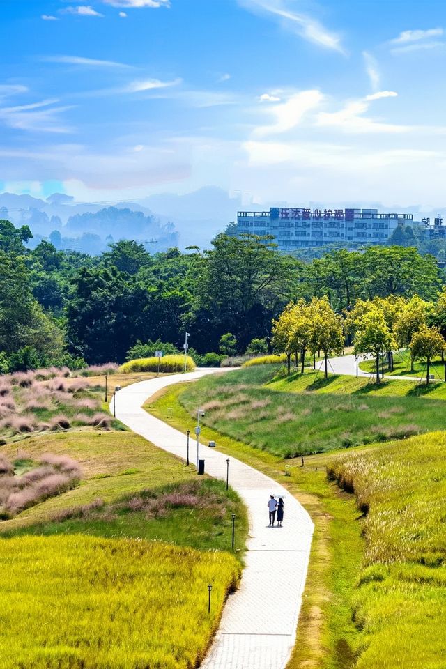 深圳親子單車新寵兒，陌上花公園全攻略來啦！