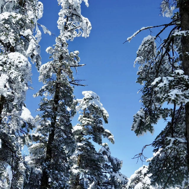 🏔 🥶 🏔 Winter Snow in Sichuan 🏔🥶🏔