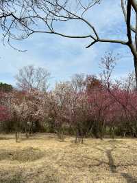 湖州2日遊冬日限定美景千祈唔好錯過