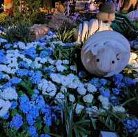 Blossoms under Starlight: Night at Flower Dome